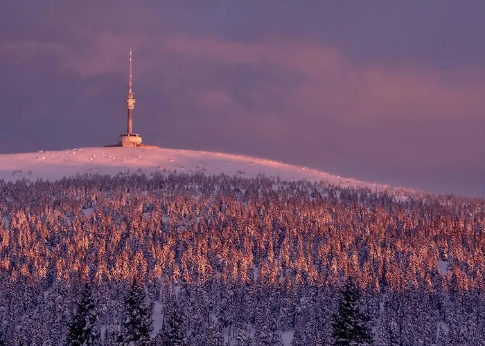 Alpstuga Mala Moravka